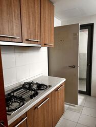 The Waterina (D14), Apartment #555000721
